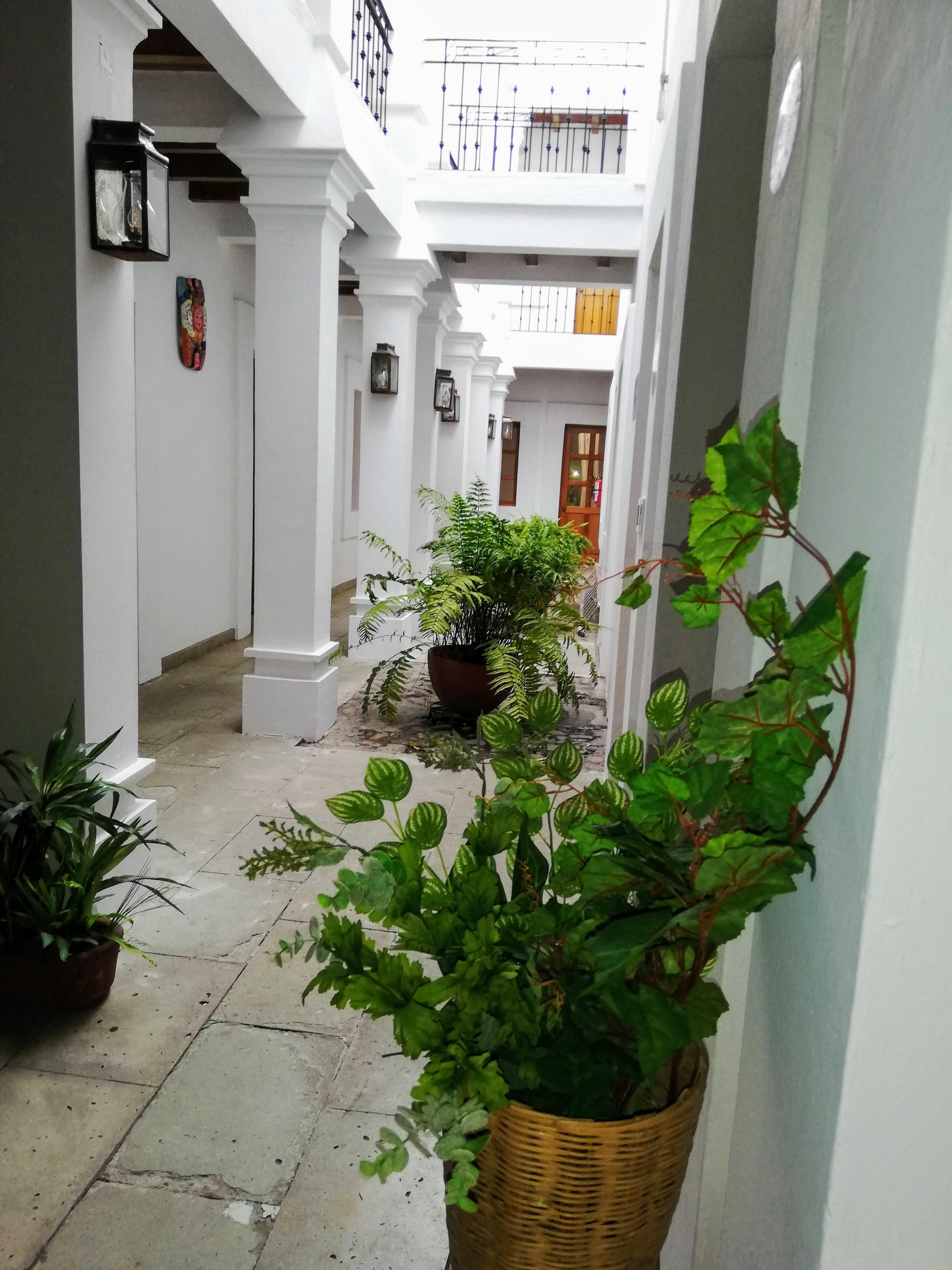 Hotel Aitana Oaxaca Extérieur photo