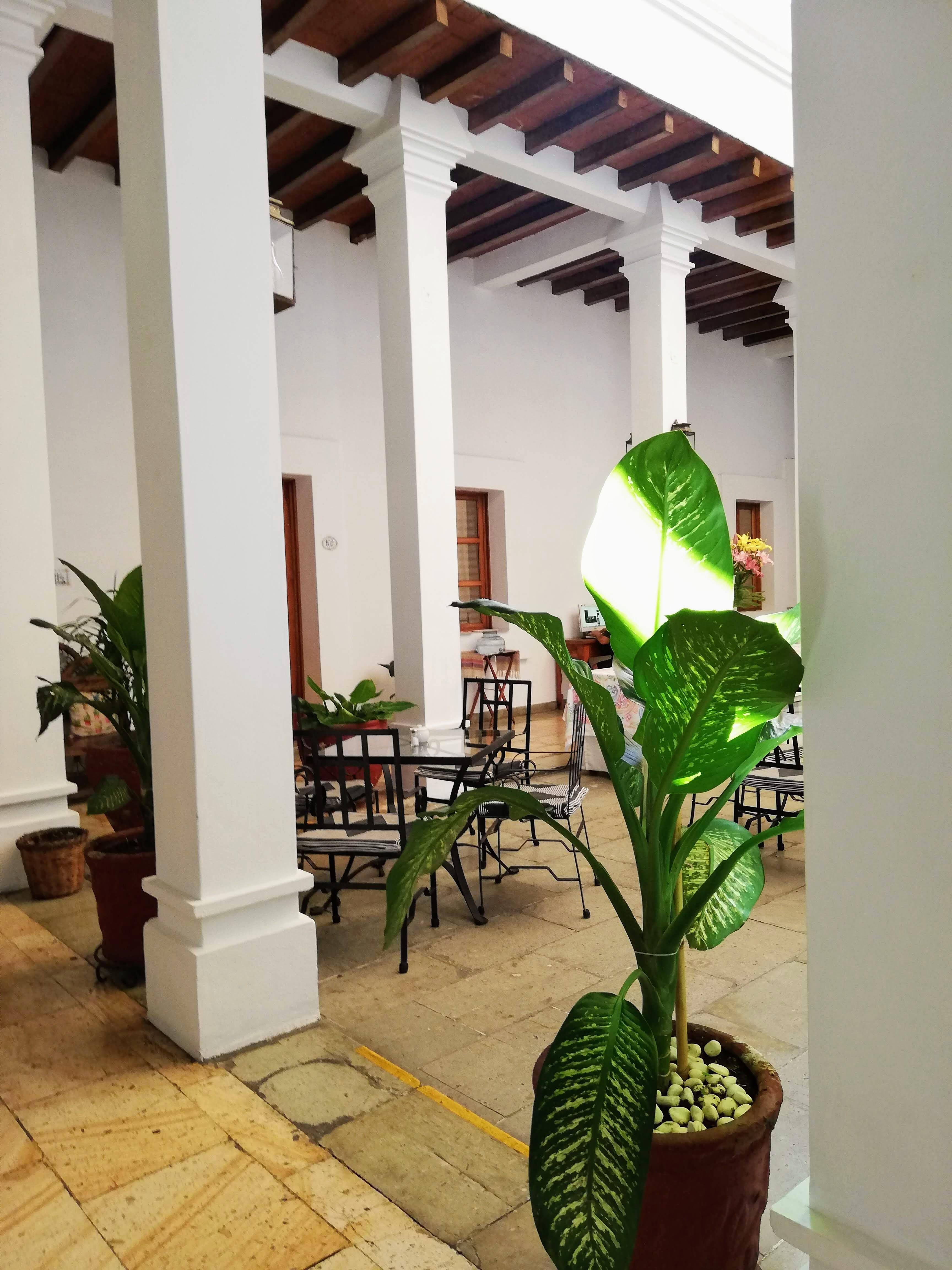 Hotel Aitana Oaxaca Extérieur photo